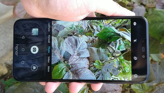 نقد و بررسی هوآوی Honor 8C