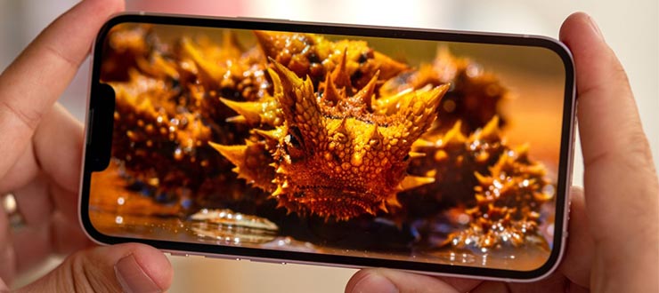 صفحه نمایش موبایل اپل iPhone 13