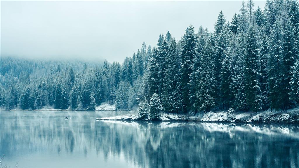 نکاتی هنگام خرید یک نمایشگر با رزولوشن بالا